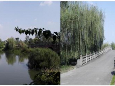 金秋美色胜春光  重阳业主游青杠